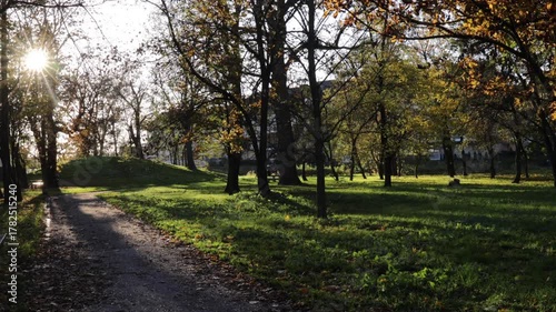 Golden sunset shines through autumn trees, sunset warms calm park path, sunset creates nostalgic tone, blending light and peace in natural harmony of fading day.