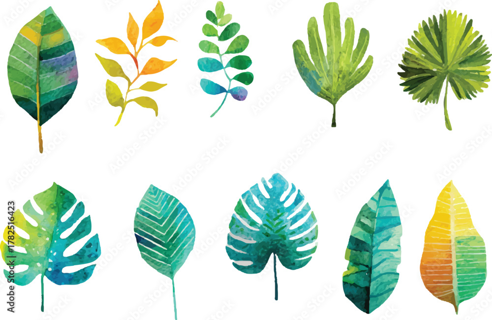 Fototapeta premium set of green leaves