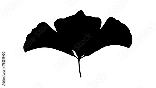 Elegant ginkgo leaf silhouette showing subtle veins, symbol of longevity, simplicity, and Asian art inspiration