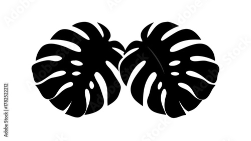 Stylish monstera leaf silhouette with iconic splits and holes, perfect for tropical modern art and decor