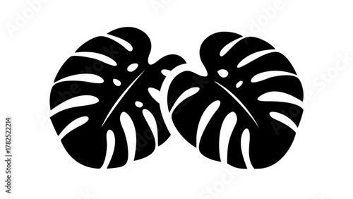 Stylish monstera leaf silhouette with iconic splits and holes, perfect for tropical modern art and decor