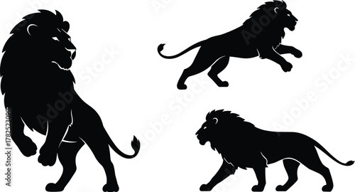 Lion silhouette vector, wild animal pose, majestic lion artwork, leaping lion illustration, walking lion graphic, black lion shape, stock design