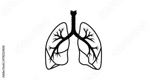 Detailed illustration of human lungs with branching airways and respiratory system