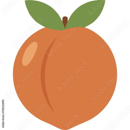 Orange Nectarine Fruit Vector Icon with Transparent Background