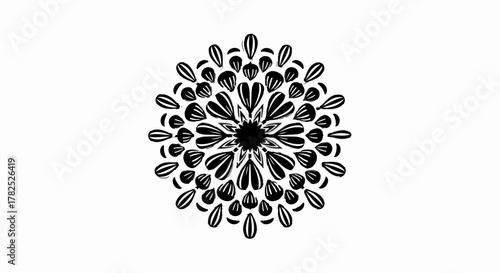 Symmetrical black and white floral pattern creating a vibrant mandala design