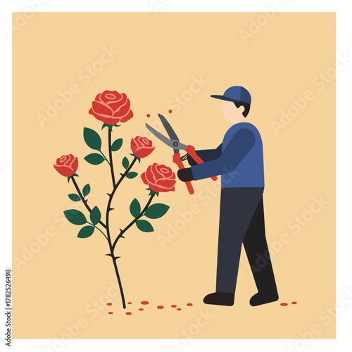 A gardener prunes a rose bush with large shears. The flowers are red. The gardener wears blue
