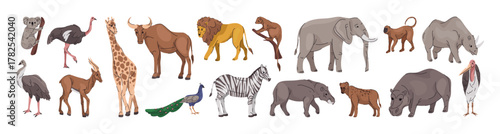 Wild animals collection from Africa savanna. Vector isolated koala and giraffe, bison and lion, peacock and zebra, beaver and boar, hyena and elephant, monkey and rhinoceros, vulture and hippopotamus