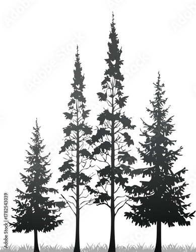 Vector silhouette illustration of a cold winter forest landscape with pine and fir evergreen trees and snow