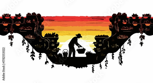 Silhouette of farmer harvesting grapes at sunset in vineyard, bounty of nature