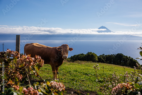 São Jorge island landscapes, Azores archipelago, travel and explore Portugal.