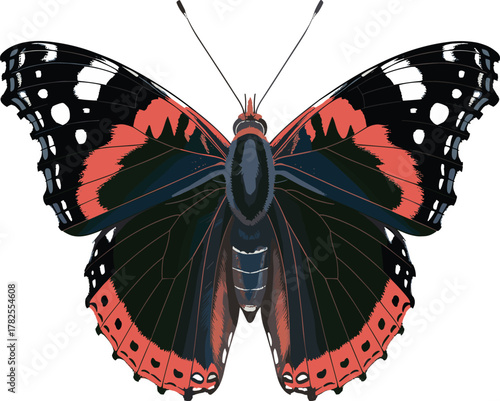 Realistic Red Admiral Butterfly (Vanessa atalanta) Vector Illustration - Vibrant Insect Graphic