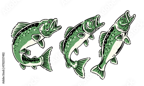 vintage illustration set of three green trout fish. Retro hand drawn artwork for a fishing club logo or t shirt print