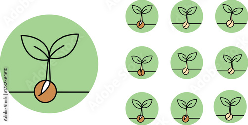 Seed germination growth stages illustration, green sprout development process icon set, plant life cycle concept, eco farming vector design