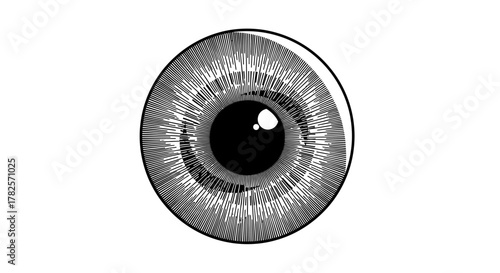Detailed Engraved Eye Illustration with Intricate Iris and Pupil Reflection