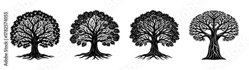 Black and white tree silhouette vector illustration forest nature drawing woodland design graphic art trees