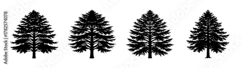 Black silhouette pine tree vector illustration evergreen forest trees design element for art