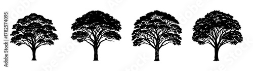 Silhouette trees vector art design illustration set of four trees in black and white design art