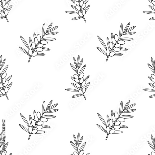 Seamless vector pattern of elegant sea buckthorn branches with berries, outlined in black on a white background, evoking natural simplicity and organic design.