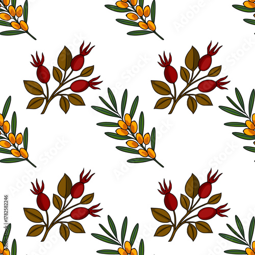 Seamless vector pattern featuring stylized sea buckthorn and rosehip branches with vibrant berries and leaves on a white background.
