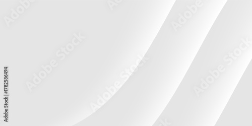 Abstract white and gray wave background. texture white pattern. vector illustration