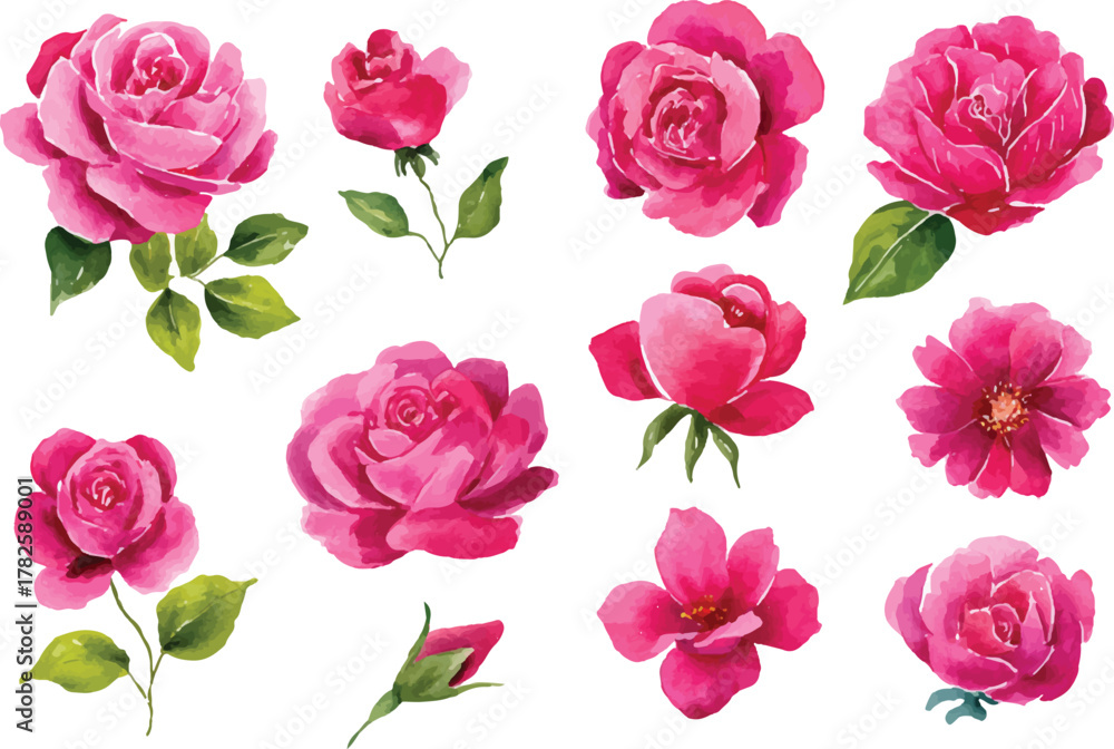 Fototapeta premium seamless pattern with pink roses