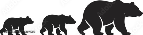 Silhouette of a mother bear and two cubs walking together