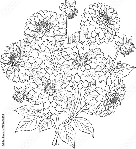 Wallpaper Mural Detailed Dahlia Flower Bouquet Line Art Vector Illustration - Botanical Outline Sketch Torontodigital.ca