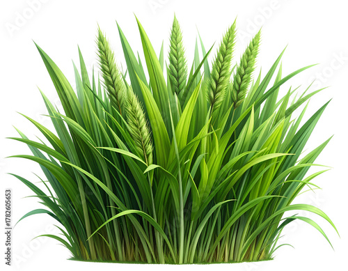 Realistic tuft of bright green grass standing upright, isolated on transparent background. Perfect for eco design, landscaping mockups, or nature-themed projects.