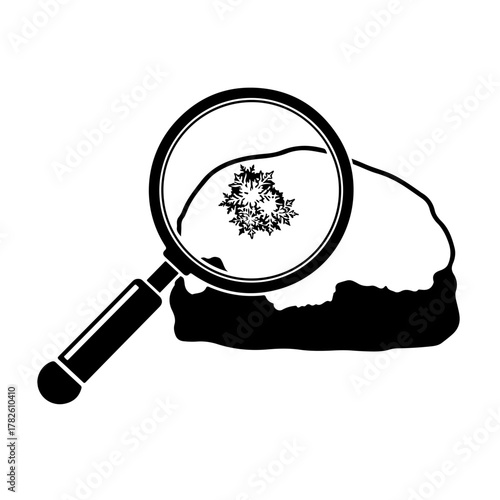 Active man throws ball for dog jumping joyfully in mid air, pure canine fun and outdoor play