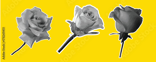  Monochrome roses in halftone style on a light background. Elegant and timeless oral illustration featuring detailed rose blossoms in black and white tones.