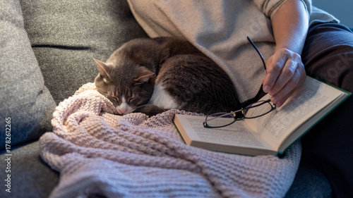 Schilderij op canvas cat sleeping on the couch