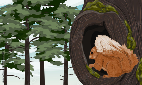 European squirrel sits in the hollow of an old mossy tree in a pine forest. Realistic vector landscape.