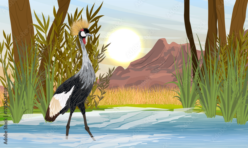 Obraz premium A crowned crane stands in the water of a small lake in a mountain valley. Wild bird of Africa. Realistic vector animal.