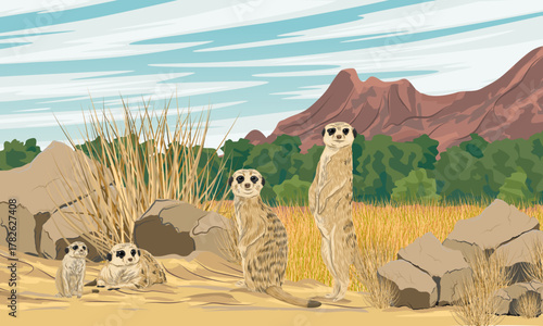 A clan of meerkats stands on a sandy road in front of a mountain valley. Realistic vector landscape.
