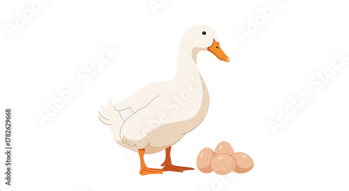 White Duck and Eggs Isolated on White Background Symbol of Farm Life Poultry and Nutrition