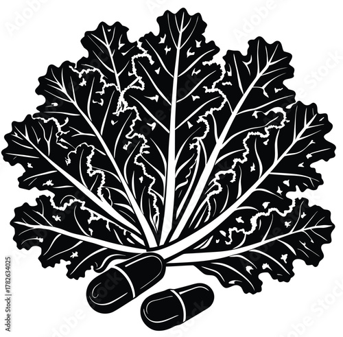 Illustration of kale leaves with two capsules, representing a natural source of vitamins and nutrients. Black and white graphic ideal for health and wellness