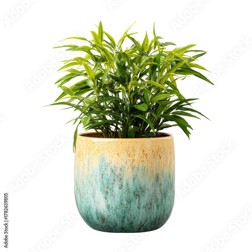 Vibrant Green Plant in a Textured Pot Adds Life to Indoor Spaces and Enhances...