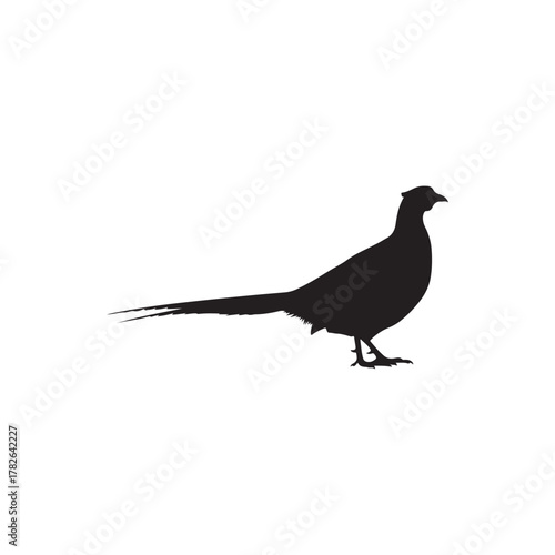 Pheasant silhouette icon vector flat illustration