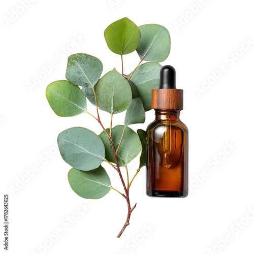Eucalyptus Oil Bottle Alongside Green Eucalyptus Leaves on a Plain Background