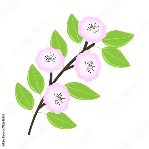 Elegant sakura flower. Cozy holiday decoration. Flat vector illustration.

