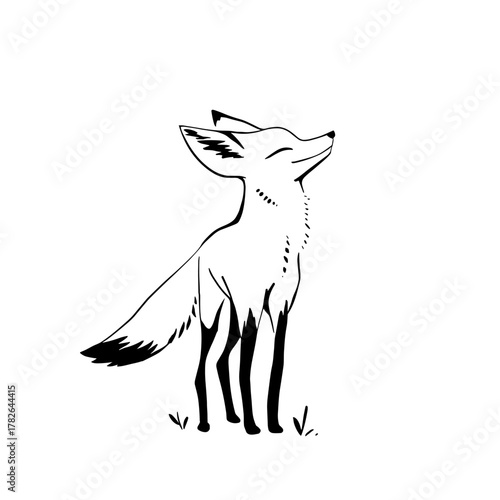 Jackal. Jackal simple black and white line art vector logo