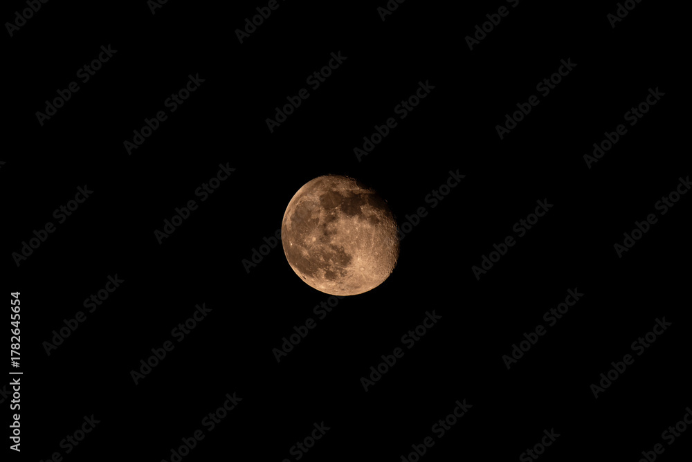 Fototapeta premium Full Beaver Moon in Dark Night Sky