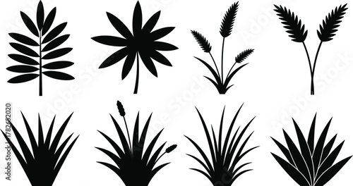 Plant silhouette illustration, black foliage shapes, botanical vector design, grass leaves artwork, floral nature elements, decorative plant icons, garden vegetation graphics