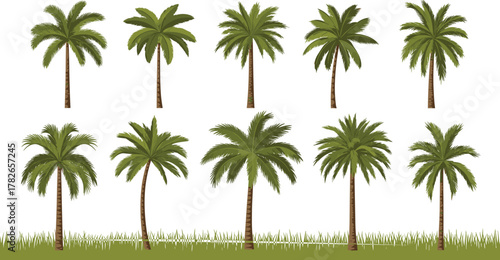 Traditional teapot illustration, floral decorative vector design, red kitchenware artwork, symmetrical tea pot drawing, cultural beverage container, vintage ornamental art