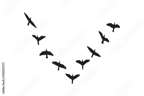 Flock of black birds flying in a V formation against a white background migration