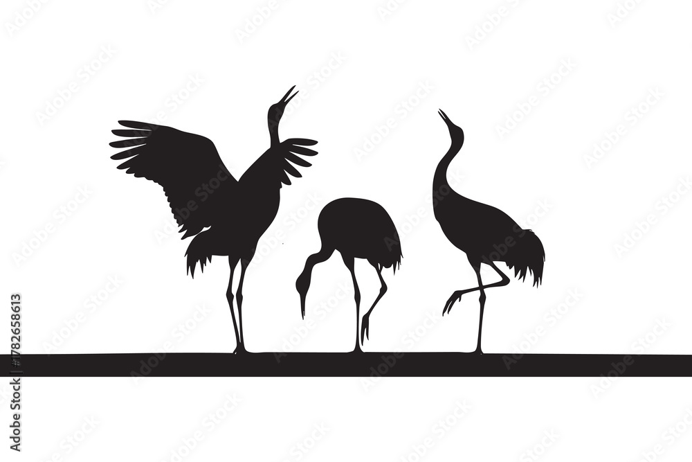 Fototapeta premium Three black silhouette cranes one with wings spread on a white background bird animal