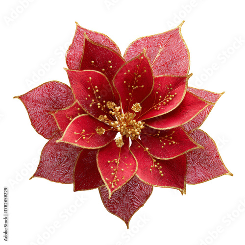 Red Poinsettia Flower With Vibrant Petals and Golden Accents on Green Leaves