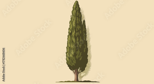 Elegant illustration of a stylized cypress tree against a neutral background