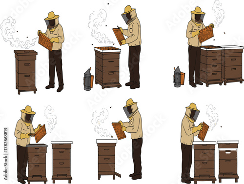 Beekeeper working with beehive, collecting honey, apiculture process illustration, protective suit, smoke tool, natural honey farming, sustainable beekeeping, pollination care