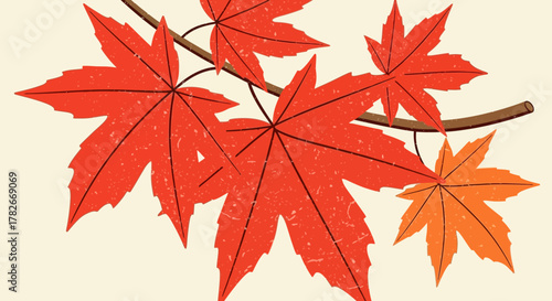 Stylized autumnal foliage design featuring maple leaves in vibrant hues